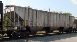 CGCX 20378